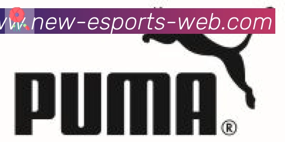 CSGO竞猜合作伙伴